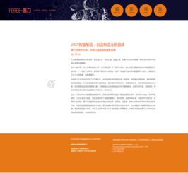 品牌管理 構(gòu)建與維護(hù)企業(yè)核心競(jìng)爭(zhēng)力的關(guān)鍵